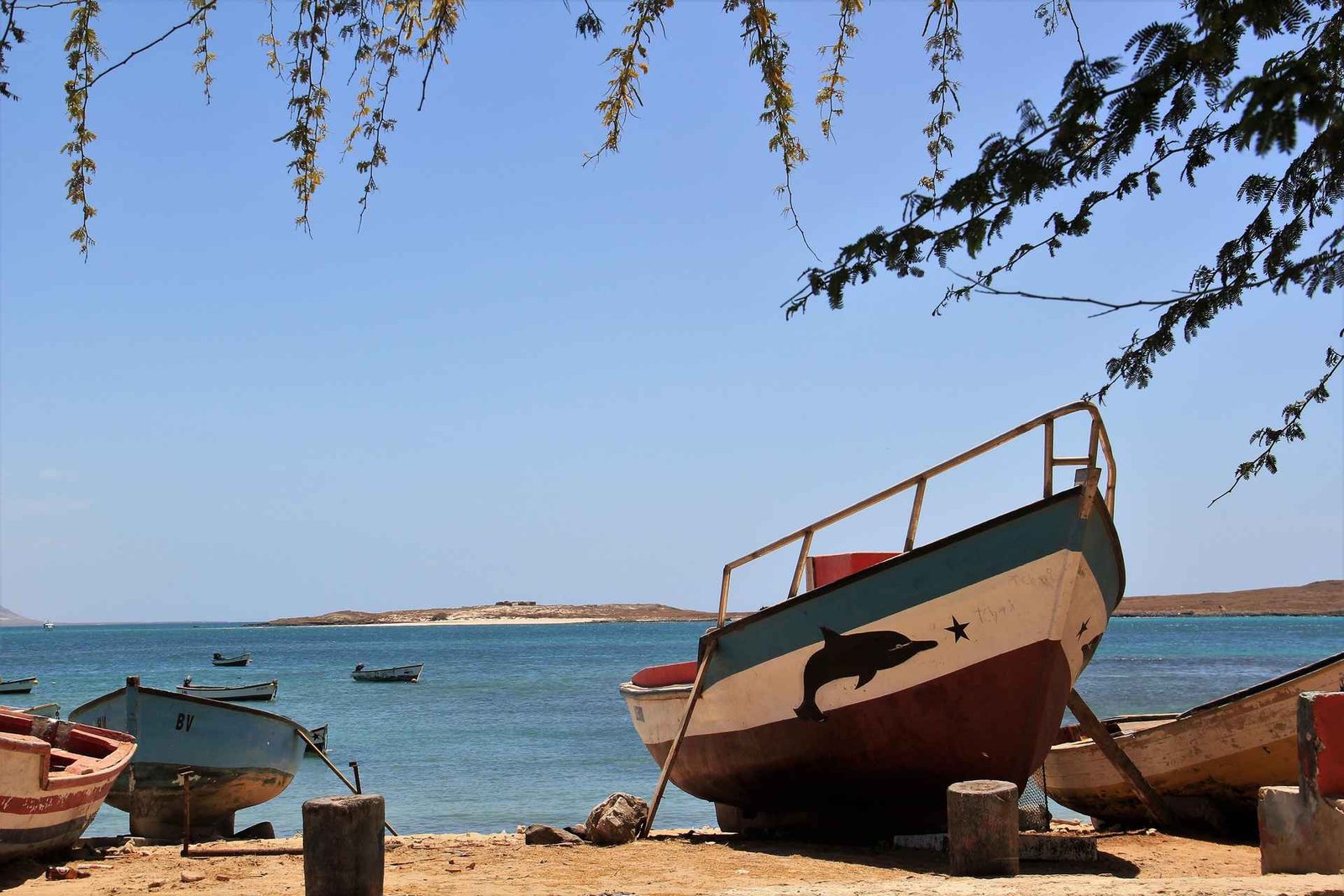 Boa Vista : Naufrage, désert de Viana et visite de Sal Rei