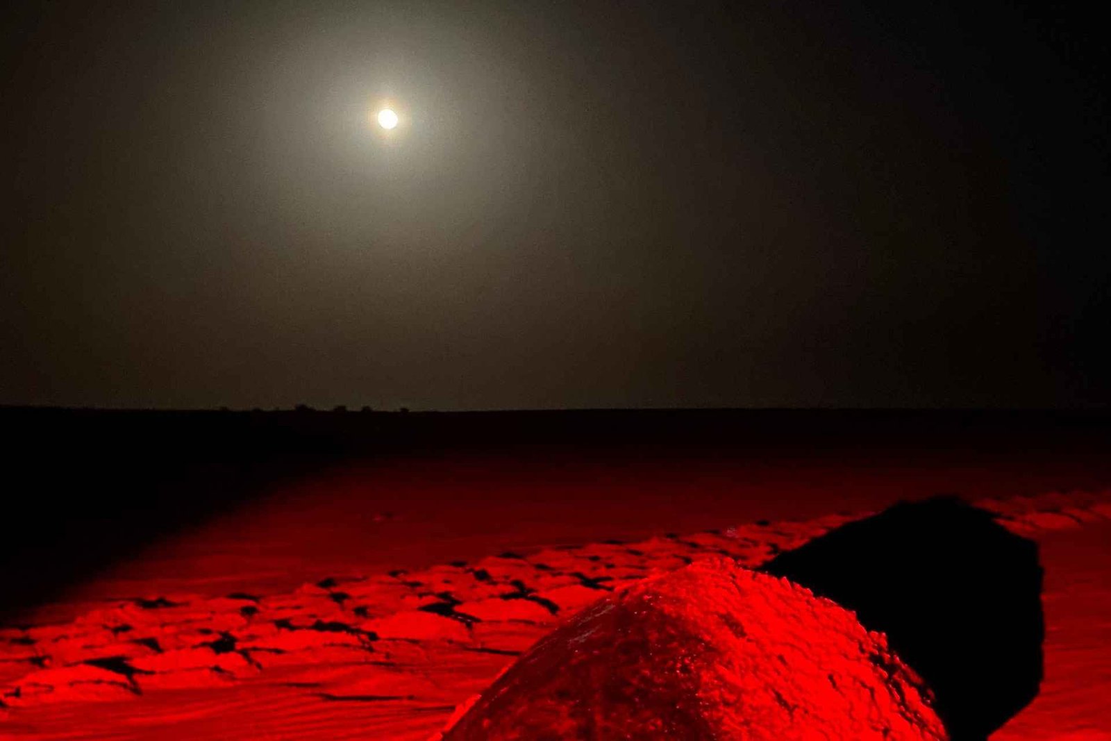 Boa Vista : observation des tortues (3 heures)