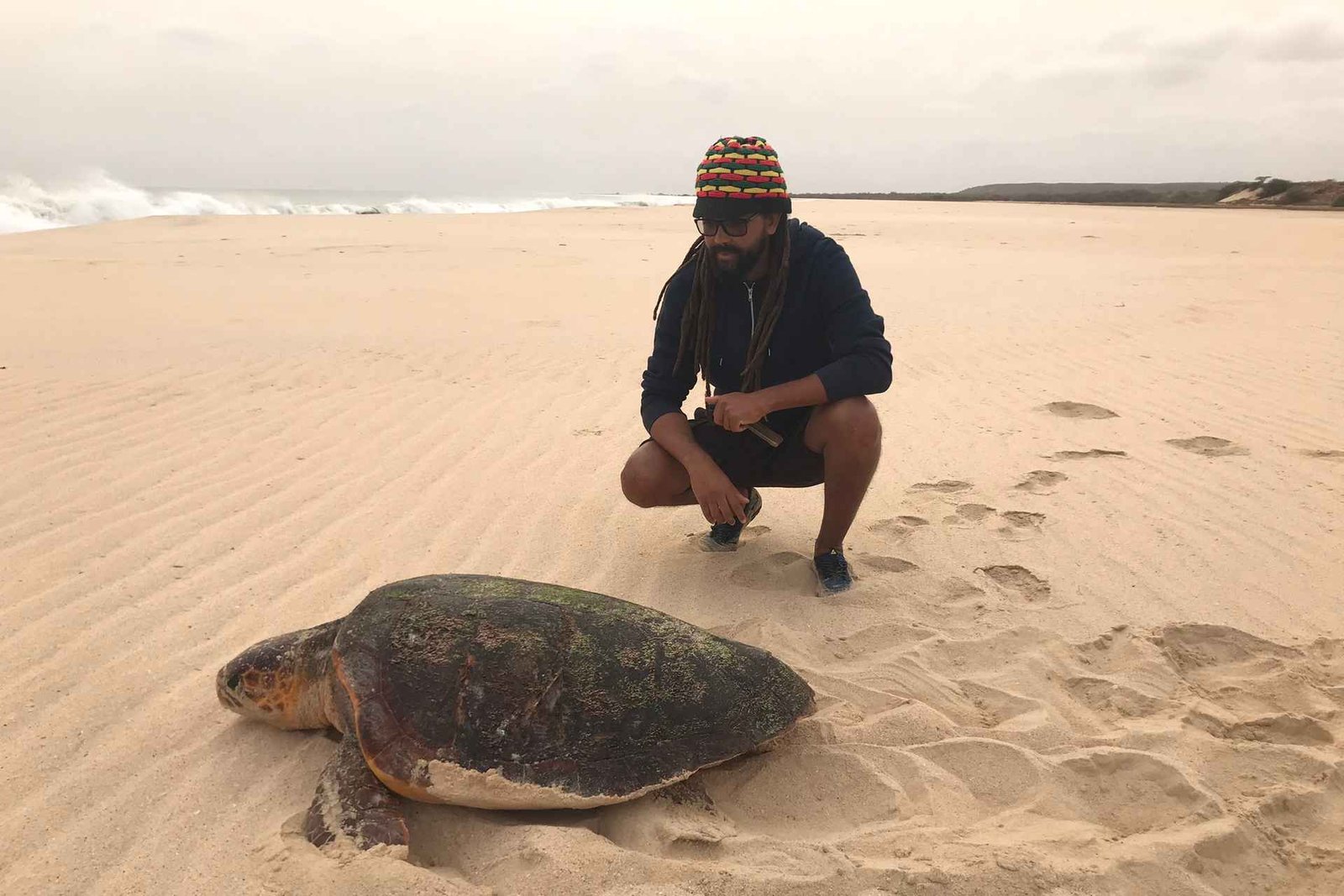 Boa Vista : observation des tortues et de leur nidification en soirée