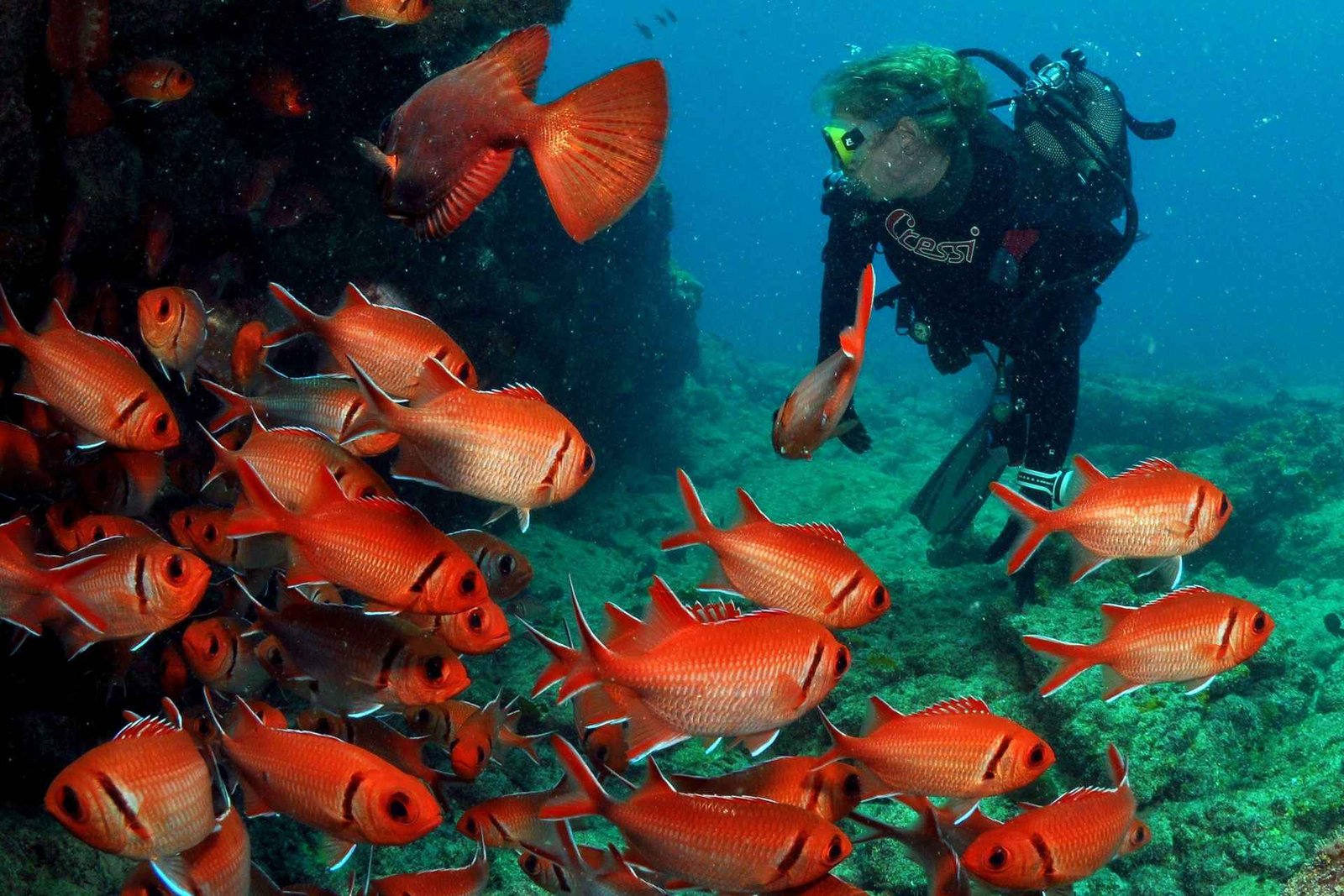 Santa Maria : Découvrez la plongée sous-marine
