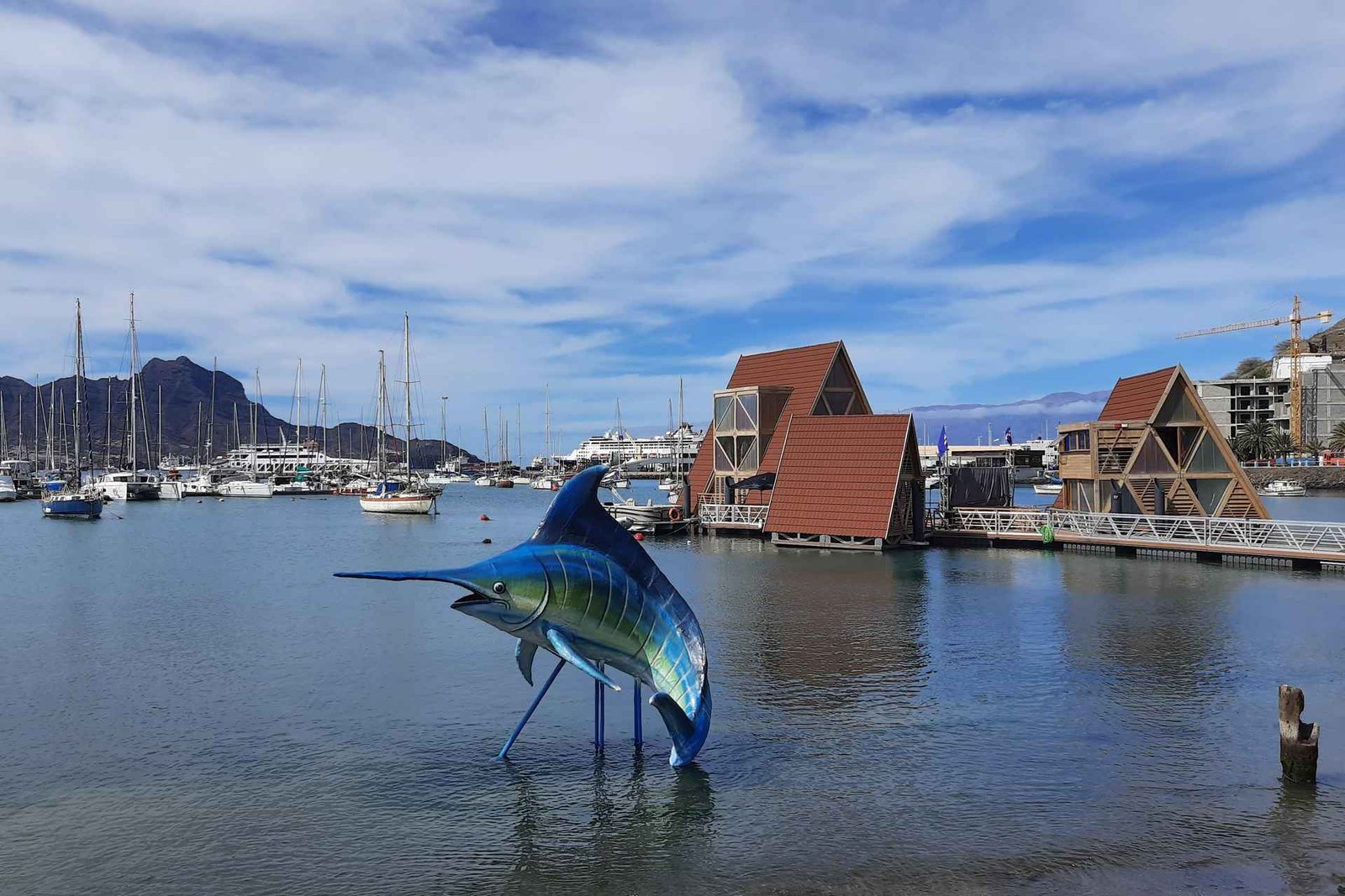 São Vicente : Marchés, plages et parc naturel